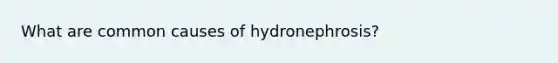 What are common causes of hydronephrosis?