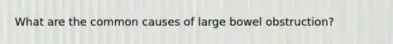 What are the common causes of large bowel obstruction?