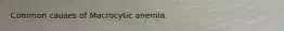 Common causes of Macrocytic anemia.