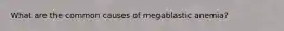 What are the common causes of megablastic anemia?