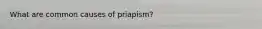 What are common causes of priapism?