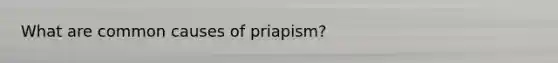 What are common causes of priapism?