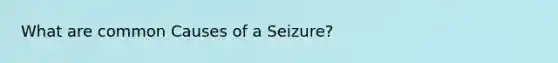 What are common Causes of a Seizure?