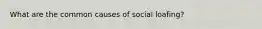 What are the common causes of social loafing?