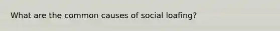 What are the common causes of social loafing?