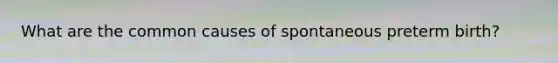 What are the common causes of spontaneous preterm birth?