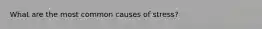 What are the most common causes of stress?