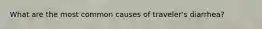 What are the most common causes of traveler's diarrhea?