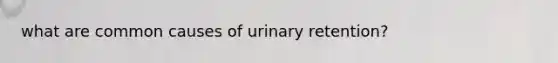 what are common causes of urinary retention?