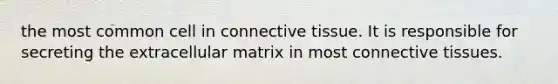 the most common cell in connective tissue. It is responsible for secreting the extracellular matrix in most connective tissues.