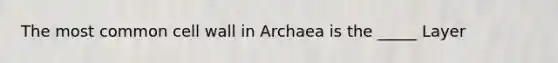 The most common cell wall in Archaea is the _____ Layer