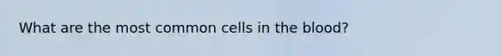 What are the most common cells in the blood?