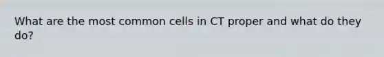 What are the most common cells in CT proper and what do they do?