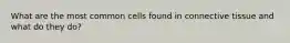 What are the most common cells found in connective tissue and what do they do?