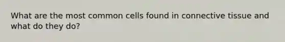 What are the most common cells found in connective tissue and what do they do?