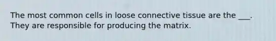 The most common cells in loose connective tissue are the ___. They are responsible for producing the matrix.