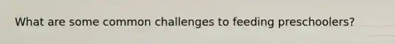 What are some common challenges to feeding preschoolers?