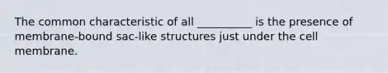 The common characteristic of all __________ is the presence of membrane-bound sac-like structures just under the cell membrane.