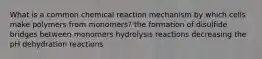 What is a common chemical reaction mechanism by which cells make polymers from monomers? the formation of disulfide bridges between monomers hydrolysis reactions decreasing the pH dehydration reactions