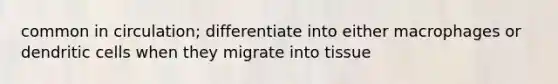 common in circulation; differentiate into either macrophages or dendritic cells when they migrate into tissue