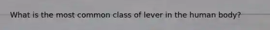 What is the most common class of lever in the human body?