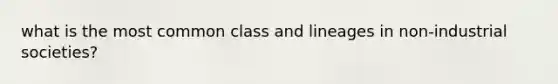 what is the most common class and lineages in non-industrial societies?