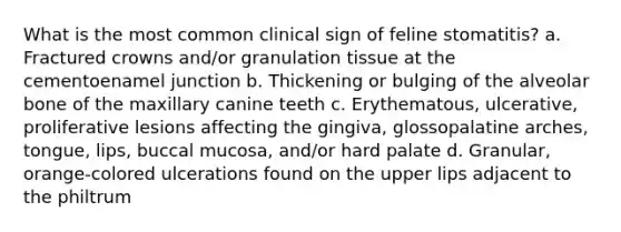 What is the most common clinical sign of feline stomatitis? a. Fractured crowns and/or granulation tissue at the cementoenamel junction b. Thickening or bulging of the alveolar bone of the maxillary canine teeth c. Erythematous, ulcerative, proliferative lesions affecting the gingiva, glossopalatine arches, tongue, lips, buccal mucosa, and/or hard palate d. Granular, orange-colored ulcerations found on the upper lips adjacent to the philtrum