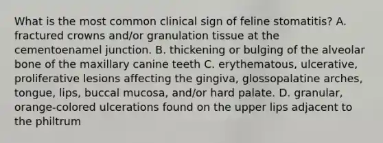 What is the most common clinical sign of feline stomatitis? A. fractured crowns and/or granulation tissue at the cementoenamel junction. B. thickening or bulging of the alveolar bone of the maxillary canine teeth C. erythematous, ulcerative, proliferative lesions affecting the gingiva, glossopalatine arches, tongue, lips, buccal mucosa, and/or hard palate. D. granular, orange-colored ulcerations found on the upper lips adjacent to the philtrum