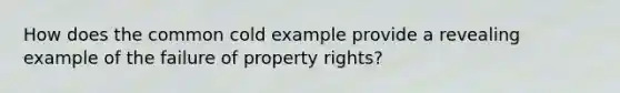 How does the common cold example provide a revealing example of the failure of property rights?