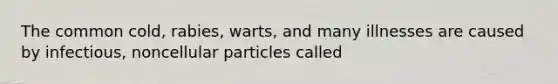 The common cold, rabies, warts, and many illnesses are caused by infectious, noncellular particles called