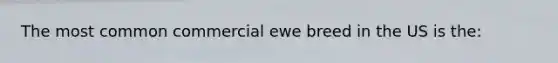 The most common commercial ewe breed in the US is the: