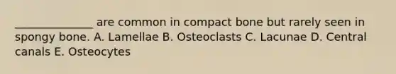 ______________ are common in compact bone but rarely seen in spongy bone. A. Lamellae B. Osteoclasts C. Lacunae D. Central canals E. Osteocytes