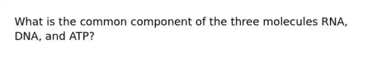 What is the common component of the three molecules RNA, DNA, and ATP?