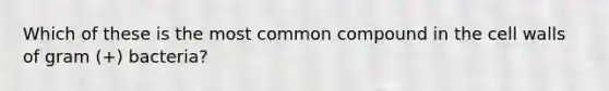 Which of these is the most common compound in the cell walls of gram (+) bacteria?