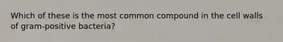 Which of these is the most common compound in the cell walls of gram-positive bacteria?