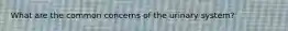 What are the common concerns of the urinary system?