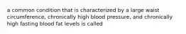 a common condition that is characterized by a large waist circumference, chronically high blood pressure, and chronically high fasting blood fat levels is called