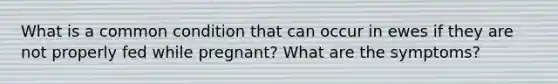 What is a common condition that can occur in ewes if they are not properly fed while pregnant? What are the symptoms?