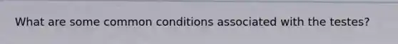 What are some common conditions associated with the testes?