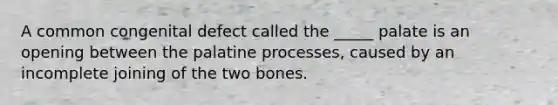 A common congenital defect called the _____ palate is an opening between the palatine processes, caused by an incomplete joining of the two bones.