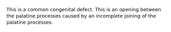 This is a common congenital defect. This is an opening between the palatine processes caused by an incomplete joining of the palatine processes.