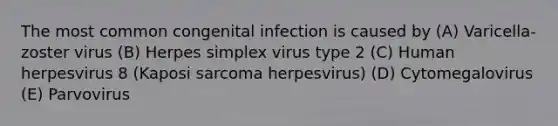 The most common congenital infection is caused by (A) Varicella-zoster virus (B) Herpes simplex virus type 2 (C) Human herpesvirus 8 (Kaposi sarcoma herpesvirus) (D) Cytomegalovirus (E) Parvovirus