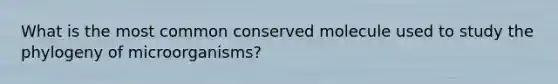 What is the most common conserved molecule used to study the phylogeny of microorganisms?