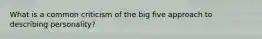 What is a common criticism of the big five approach to describing personality?