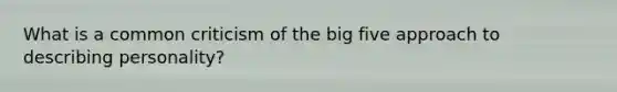 What is a common criticism of the big five approach to describing personality?