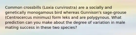 Common crossbills (Loxia curvirostra) are a socially and genetically monogamous bird whereas Gunnison's sage-grouse (Centrocercus minimus) form leks and are polygynous. What prediction can you make about the degree of variation in male mating success in these two species?