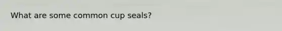 What are some common cup seals?