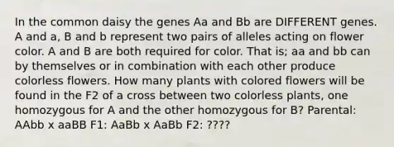 In the common daisy the genes Aa and Bb are DIFFERENT genes. A and a, B and b represent two pairs of alleles acting on flower color. A and B are both required for color. That is; aa and bb can by themselves or in combination with each other produce colorless flowers. How many plants with colored flowers will be found in the F2 of a cross between two colorless plants, one homozygous for A and the other homozygous for B? Parental: AAbb x aaBB F1: AaBb x AaBb F2: ????