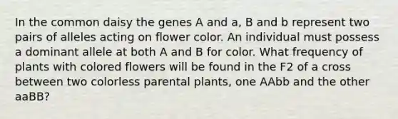 In the common daisy the genes A and a, B and b represent two pairs of alleles acting on flower color. An individual must possess a dominant allele at both A and B for color. What frequency of plants with colored flowers will be found in the F2 of a cross between two colorless parental plants, one AAbb and the other aaBB?