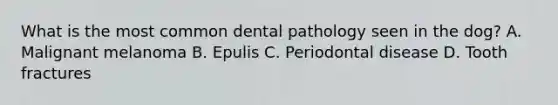 What is the most common dental pathology seen in the dog? A. Malignant melanoma B. Epulis C. Periodontal disease D. Tooth fractures